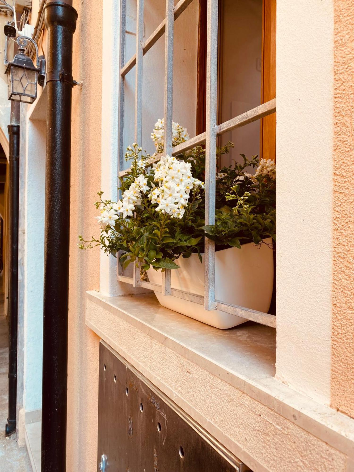 Casabella Chioggia Casa Indipendente Con Corte 外观 照片